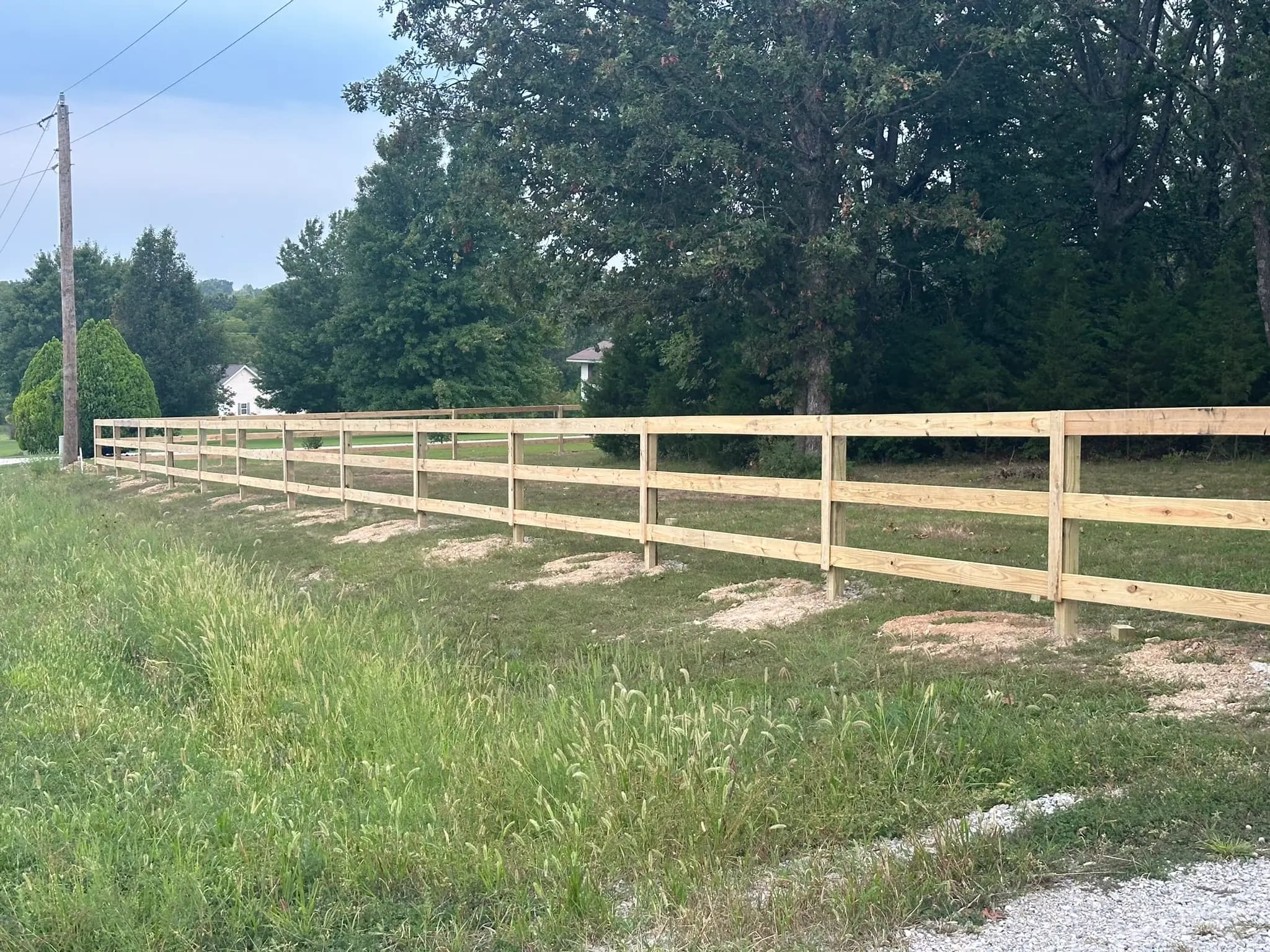 Wood pasture fence running along tall roadside grass