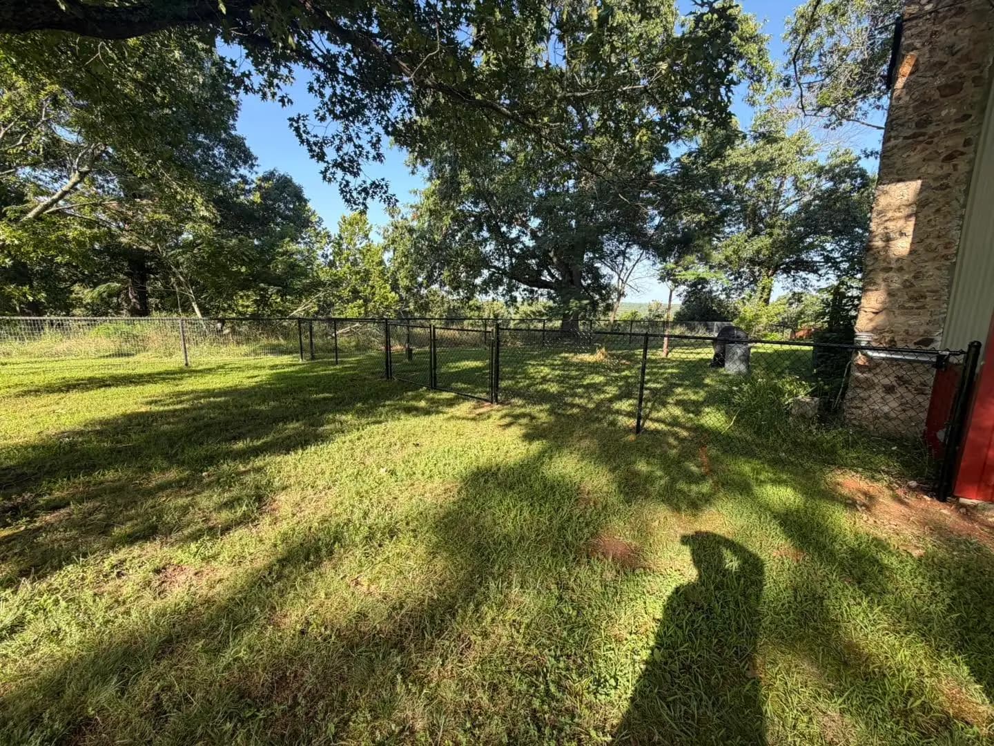 Black chain link fence under shade trees around a side yard