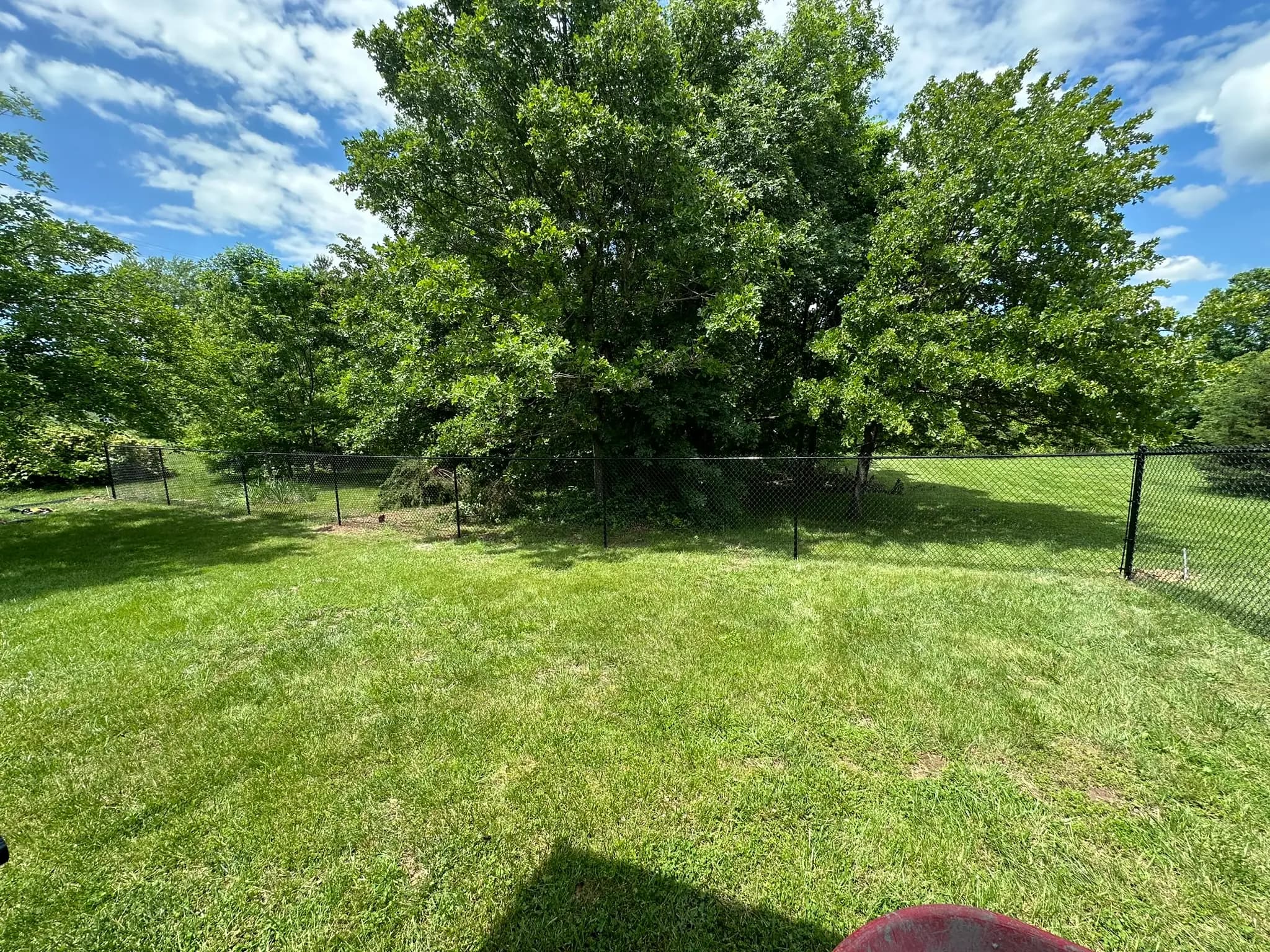 Chain link fence line bordering a green backyard