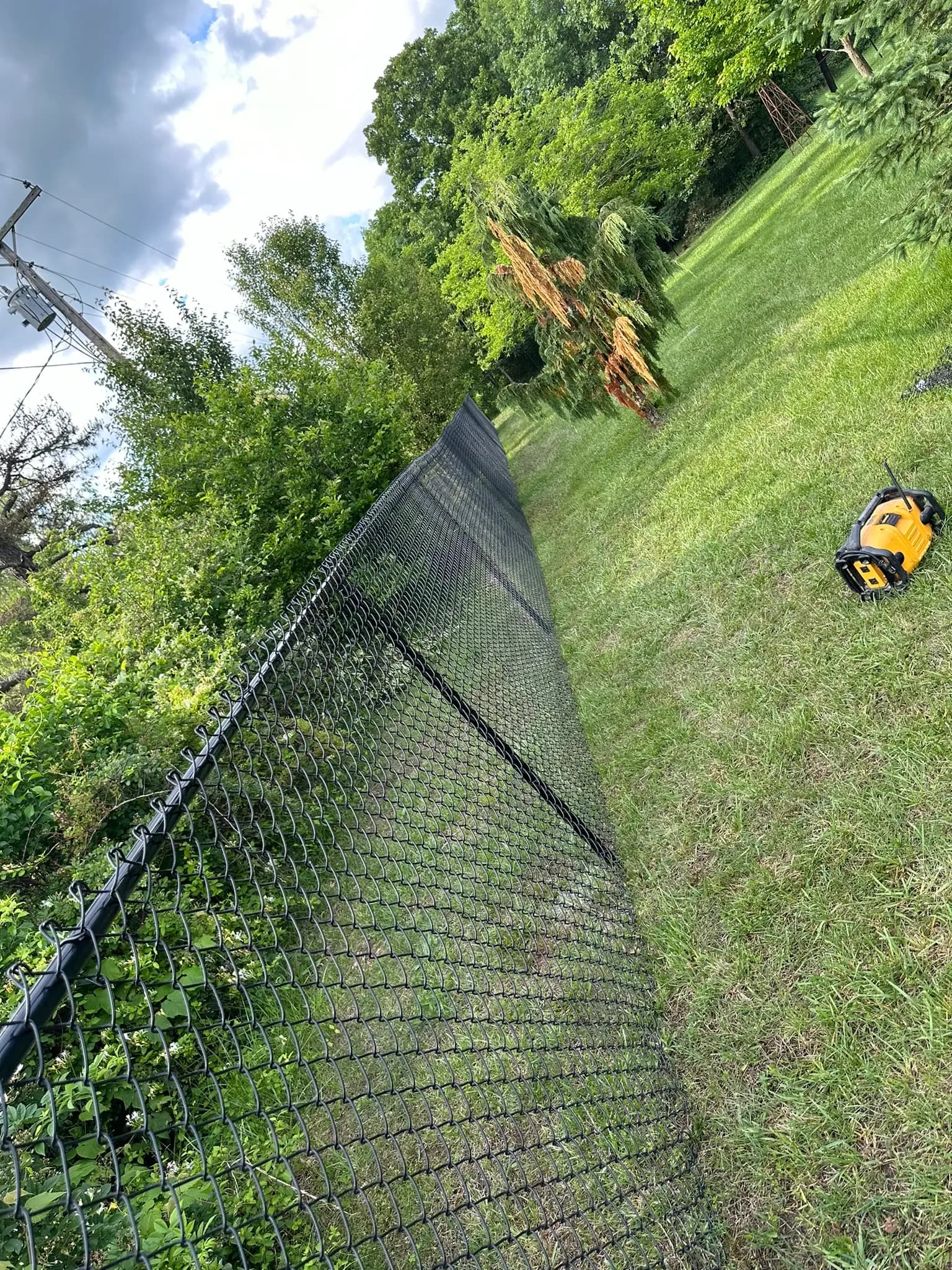 Black chain link fence running along a grassy slope