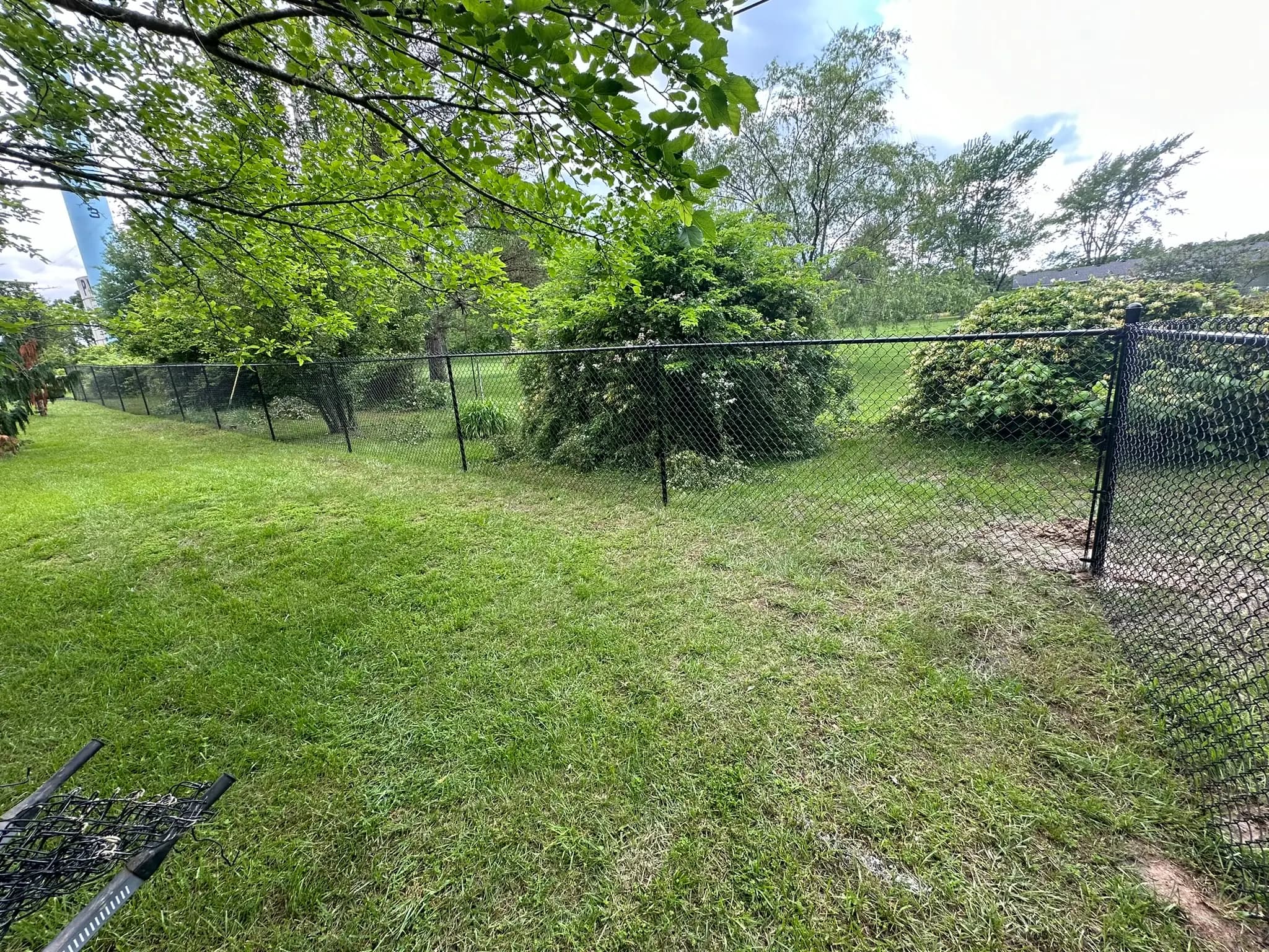 Black chain link fence beside trees and lawn